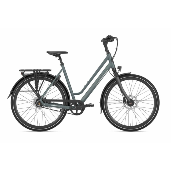 Gazelle Chamonix C8 Clay Green Mat Dames 2025