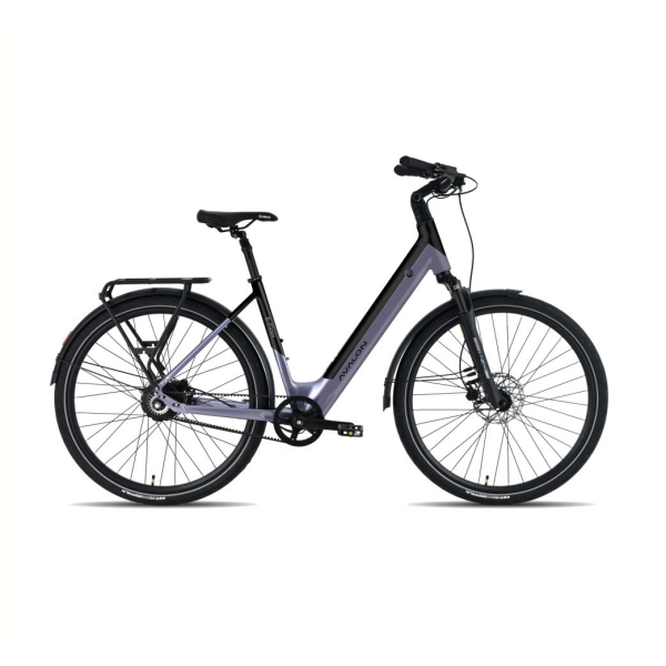Avalon E-Flow Parelmoerviolet Mat Dames 2025
